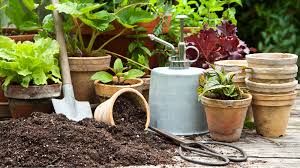 Gardening Mistakes And How To Avoid Them