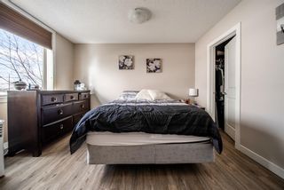 Photo 15: 236 2727 28 Avenue SE in Calgary: Dover Apartment for sale : MLS®# A1208952