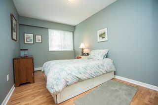 Photo 11: 104 535 BLUE MOUNTAIN Street in Coquitlam: Central Coquitlam Condo for sale in "REGAL COURT" : MLS®# R2081346