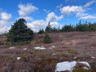 Photo 22: Lot C1 East Jeddore Road in East Jeddore: 35-Halifax County East Vacant Land for sale (Halifax-Dartmouth)  : MLS®# 202214751