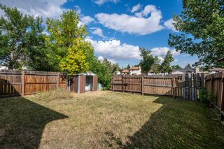 Photo 25: 3636 39 Street NE in Calgary: Whitehorn Detached for sale : MLS®# A1257078