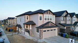 Photo 40: 126 Skyview Ranch Street NE in Calgary: Skyview Ranch Detached for sale : MLS®# A2047148
