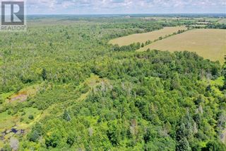 Photo 14: 0 KENTSONE BEACH ROAD Road in Bobcaygeon: Vacant Land for sale : MLS®# 40461906