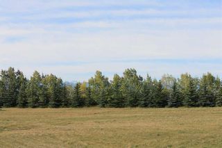 Photo 32: 255073 Glenbow Road in Rural Rocky View County: Rural Rocky View MD Residential Land for sale : MLS®# A2126705