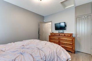 Photo 16: 498 Williamstown Green NW: Airdrie Detached for sale : MLS®# A1225984