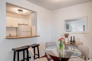 Photo 13: 303 607 7 Avenue NE in Calgary: Renfrew Apartment for sale : MLS®# A2033863