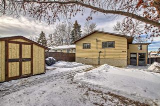 Photo 34: 3019 33A Street SE in Calgary: Dover Detached for sale : MLS®# A2103905