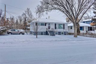 Photo 34: 703 36 Street NW in Calgary: Parkdale Detached for sale : MLS®# A2101688