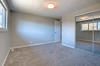 Photo 21: 36 Pinelore Place NE in Calgary: Pineridge Semi Detached (Half Duplex) for sale : MLS®# A2006468