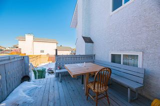 Photo 45: 76 Applewood Way SE in Calgary: Applewood Park Detached for sale : MLS®# A2019732