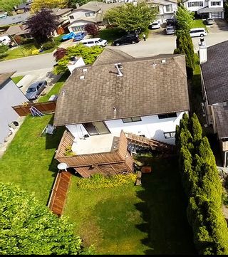 Photo 19: 20494 Deniza Ave in Maple Ridge: House for sale : MLS®#  V1084847