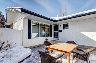 Photo 4: 7315 61 Avenue NW in Calgary: Silver Springs Detached for sale : MLS®# A2030087