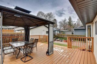 Photo 33: 363 Ashley Crescent SE in Calgary: Acadia Detached for sale : MLS®# A2128677