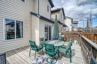 Photo 35: 56 New Brighton Link SE in Calgary: New Brighton Detached for sale : MLS®# A1202391