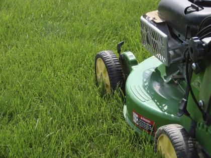 How to maintain a healthy lawn in seven simple steps