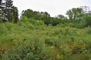 Photo 2: Lot No. 1 Highway in Smiths Cove: 401-Digby County Vacant Land for sale (Annapolis Valley)  : MLS®# 202014461