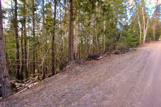 Photo 5: Lot 41 Klondike Trail: Anglemont Vacant Land for sale (North Shuswap)  : MLS®# 10244159