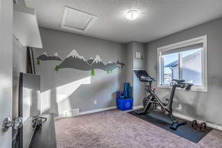 Photo 28: 34 Walden Court SE in Calgary: Walden Detached for sale : MLS®# A1179380