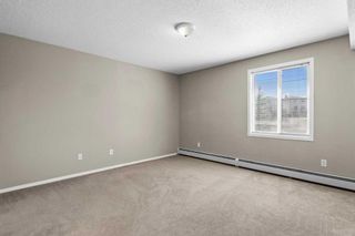 Photo 18: 320 4000 Citadel Meadow Point NW in Calgary: Citadel Apartment for sale : MLS®# A2123539