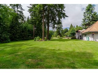 Photo 19: 17142 21 Avenue in Surrey: Pacific Douglas House for sale (South Surrey White Rock)  : MLS®# R2176109