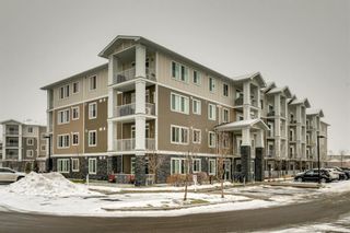 Photo 25: 5110 522 Cranford Drive SE in Calgary: Cranston Apartment for sale : MLS®# A1182916