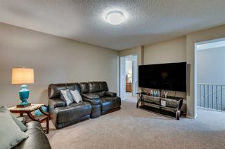 Photo 21: 621 Nolan Hill Boulevard NW in Calgary: Nolan Hill Detached for sale : MLS®# A2076619