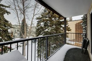 Photo 3: 304 635 56 Avenue SW in Calgary: Windsor Park Apartment for sale : MLS®# A2028703