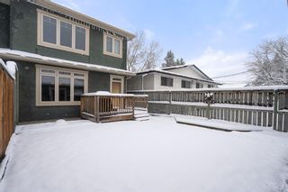 Photo 33: 2529 16A Street NW in Calgary: Capitol Hill Semi Detached for sale : MLS®# A1207988