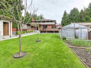 Photo 16: 8186 GOVERNMENT Road in Burnaby: Government Road House for sale (Burnaby North)  : MLS®# R2168757