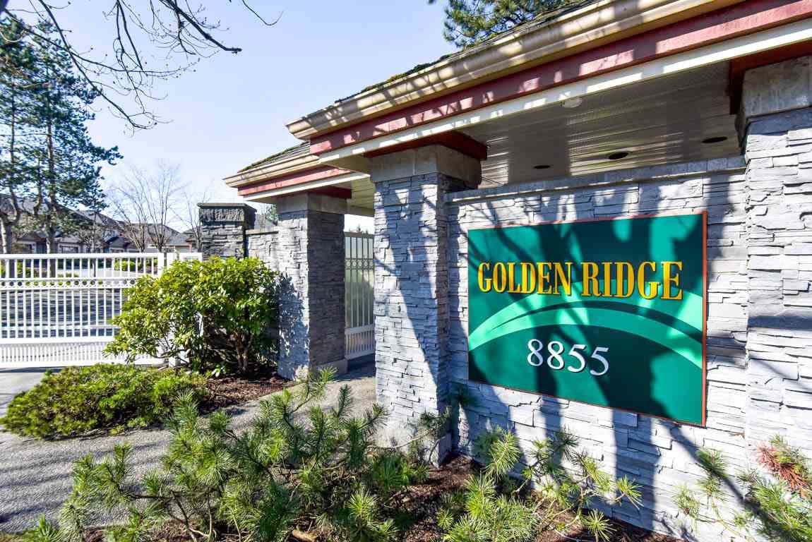 Main Photo: 6 8855 212 Street in Langley: Walnut Grove Townhouse for sale in "GOLDEN RIDGE" : MLS®# R2549448