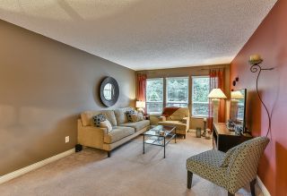 Photo 2: 1250 HORNBY STREET in Coquitlam: New Horizons House for sale : MLS®# R2033219
