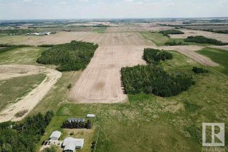 Photo 4: 49279 RR250: Rural Leduc County Rural Land/Vacant Lot for sale : MLS®# E4274413