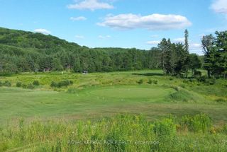 Main Photo: 71 & 84 Golf Course Road in Armour: Property for sale : MLS®# X8195650