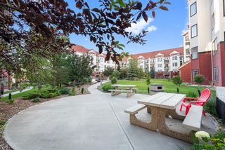 Photo 21: 108 70 Royal Oak Plaza NW in Calgary: Royal Oak Apartment for sale : MLS®# A1245850