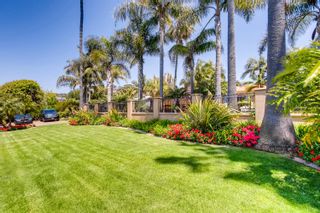 Photo 5: Residential for sale (La Jolla Shores)  : 5 bedrooms : 8519 La Jolla Shores Dr in La Jolla