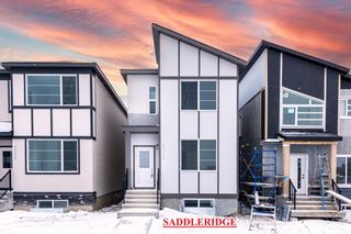 Main Photo: 8759 45 Street NE in Calgary: Saddle Ridge Detached for sale : MLS®# A2014028