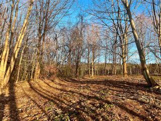 Photo 7: Lot 2022-2 Greenfield Road in Gaspereau: Kings County Vacant Land for sale (Annapolis Valley)  : MLS®# 202409252