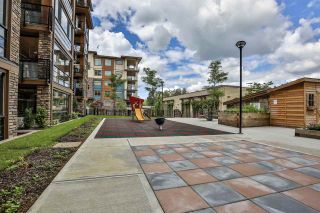 Photo 14: A307 20716 WILLOUGHBY TOWN CENTRE Drive in Langley: Willoughby Heights Condo for sale in "Yorkson Downs" : MLS®# R2476051