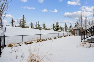 Photo 38: 226 Crystal Green Place: Okotoks Detached for sale : MLS®# A2124052