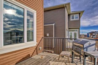 Photo 45: 429 Nolan Hill Boulevard NW in Calgary: Nolan Hill Detached for sale : MLS®# A2093146