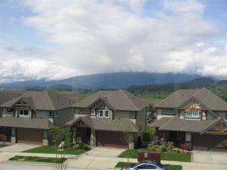 Photo 10: 22986 GILBERT Drive in Maple Ridge: Silver Valley Townhouse for sale in "STONELEIGH" : MLS®# V926463