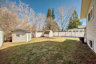 Photo 29: 578 Aboyne Crescent NE in Calgary: Abbeydale Detached for sale : MLS®# A2124735