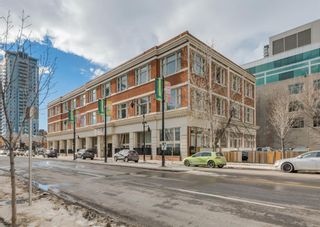 Photo 33: 107 1117 1 Street SW in Calgary: Beltline Apartment for sale : MLS®# A1172952