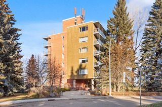 Photo 8: 709 3204 Rideau Place SW in Calgary: Rideau Park Apartment for sale : MLS®# A2095447