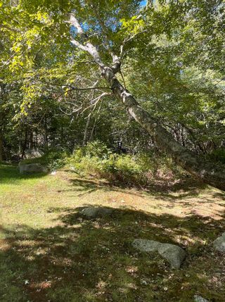 Photo 3: Lot 2 Highway 3 in East River: 405-Lunenburg County Vacant Land for sale (South Shore)  : MLS®# 202221818
