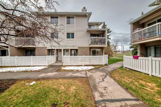 Photo 2: 14 3015 51 Street SW in Calgary: Glenbrook Row/Townhouse for sale : MLS®# A2128442