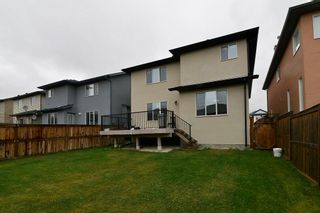 Photo 30: 151 SADDLECREST Gardens NE in Calgary: Saddle Ridge House for sale : MLS®# C4138096