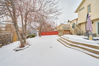 Photo 37: 29 Shannon Circle SW in Calgary: Shawnessy Detached for sale : MLS®# A2021079