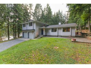 Photo 20: 12115 ROTHSAY Street in Maple Ridge: Northeast House for sale : MLS®# V1107301