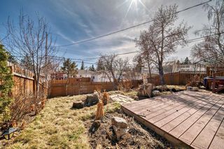 Photo 41: 727 Hunterston Road NW in Calgary: Huntington Hills Detached for sale : MLS®# A2103744